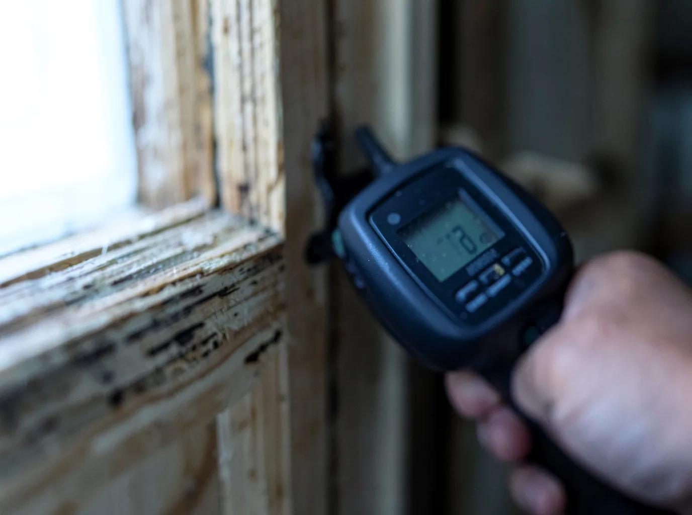 Moisture Inspection And Documentation in Alcalde, NM